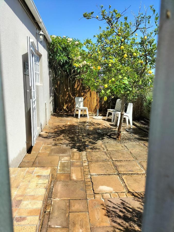 Lemon Tree Cottage Edgemead Exteriör bild