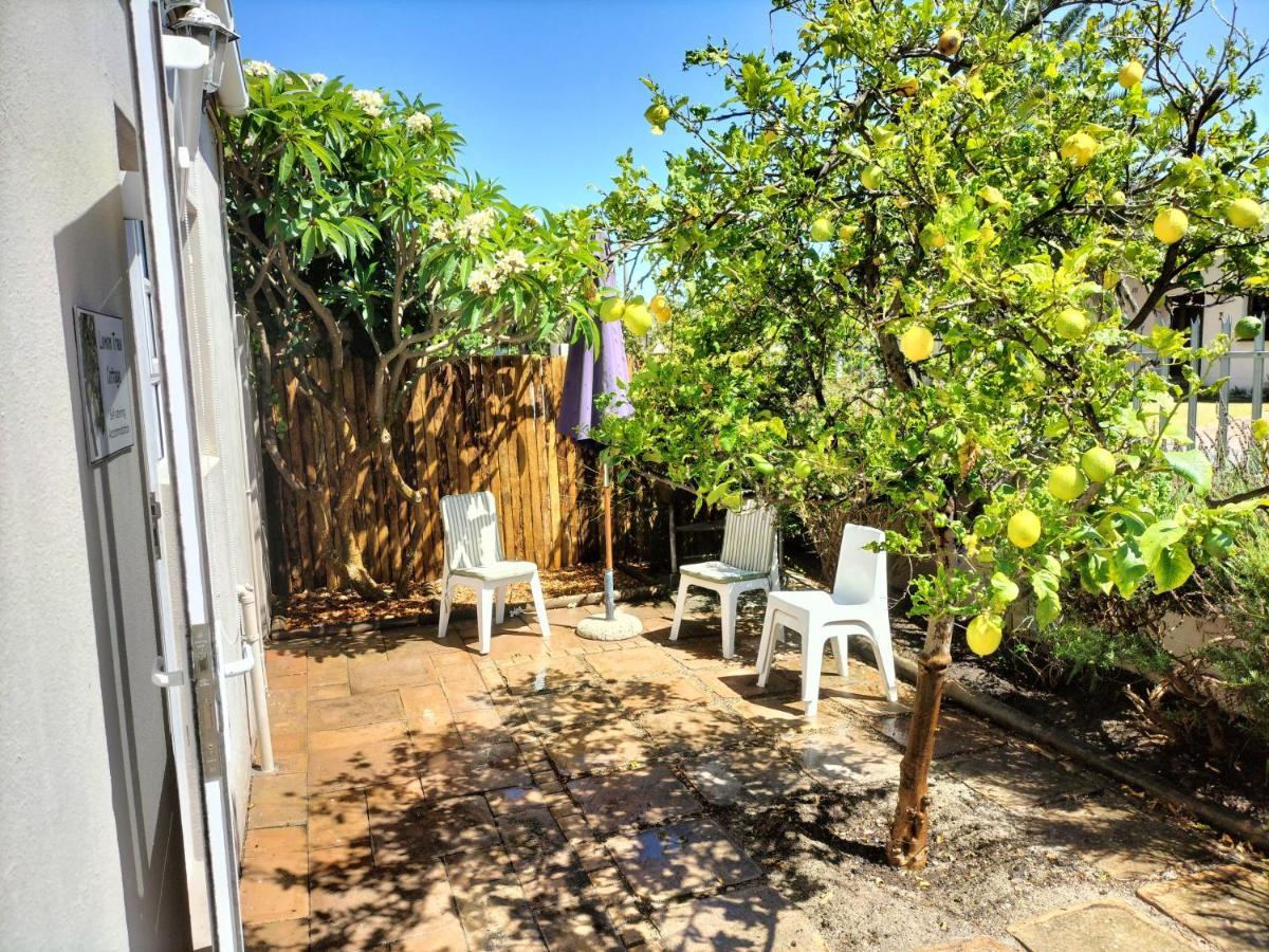 Lemon Tree Cottage Edgemead Exteriör bild