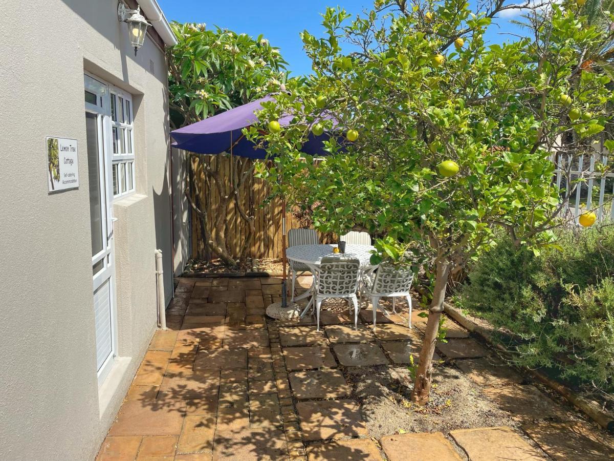 Lemon Tree Cottage Edgemead Exteriör bild